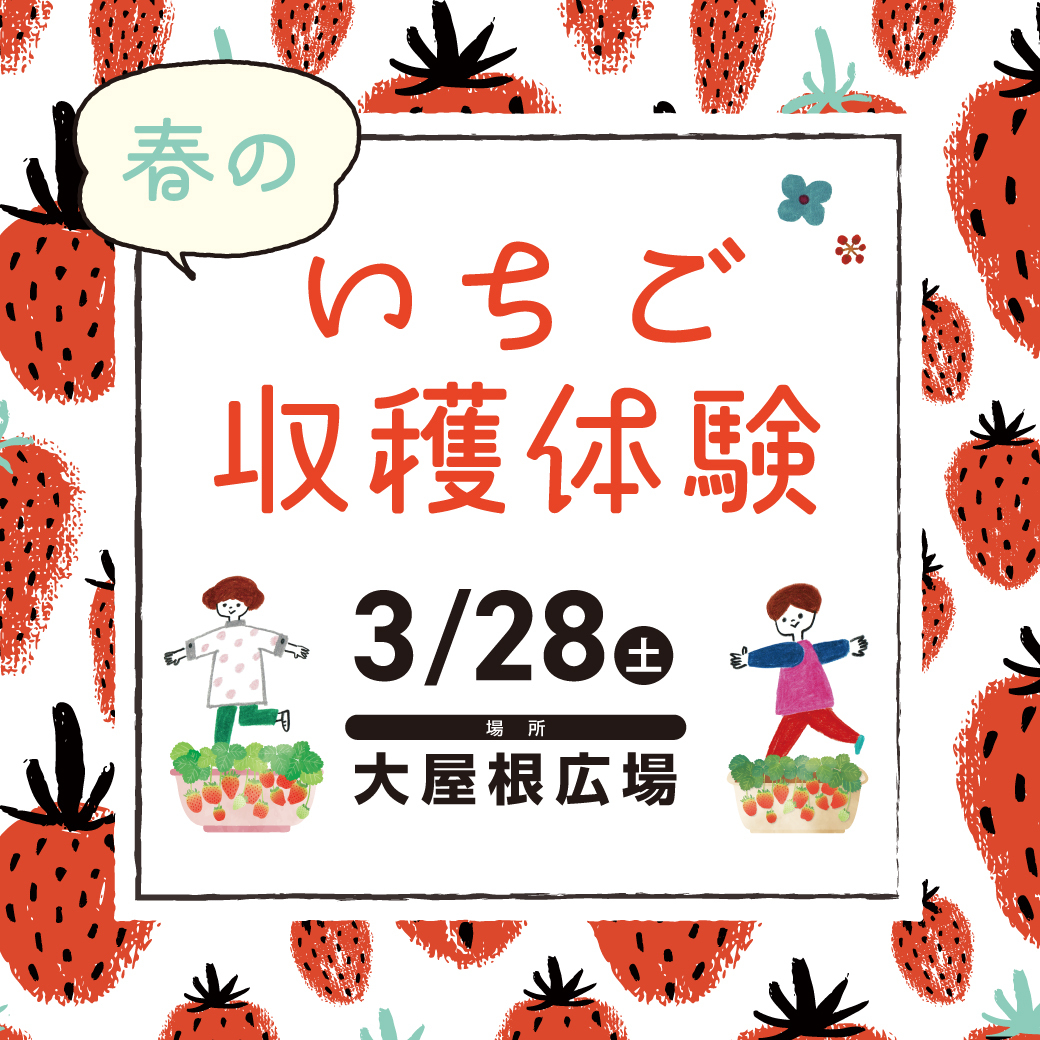 春のいちご収穫体験